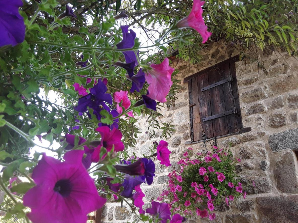 La Belle Ame Bed & Breakfast Saint-Priest-des-Champs Екстериор снимка